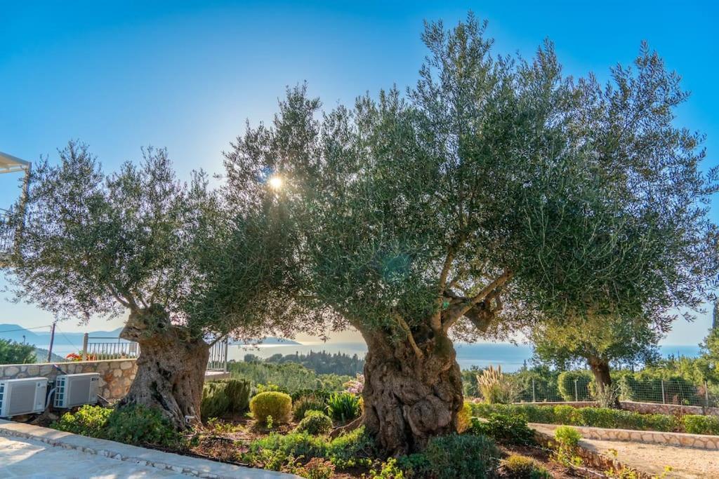 Fiscardo Luxury Stone Suzana ,with Sunset View! Βίλα Φισκάρδο