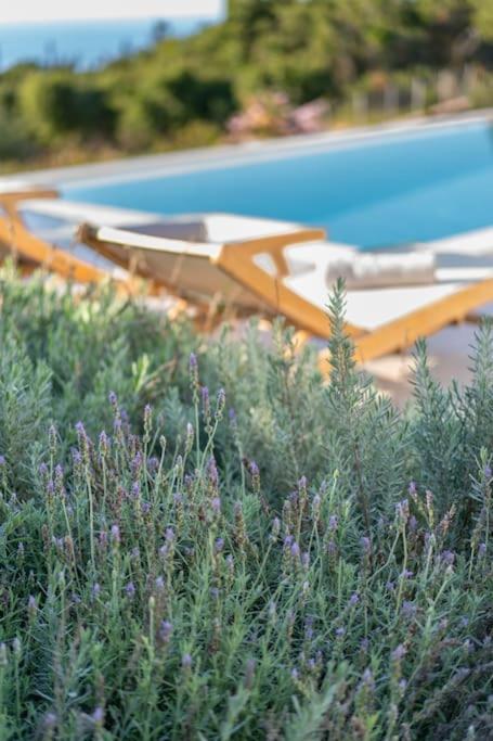 Fiscardo Luxury Stone Suzana ,with Sunset View! *